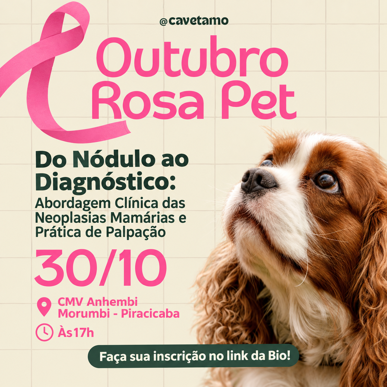 Outubro Rosa Pet: do nódulo ao diagnóstico