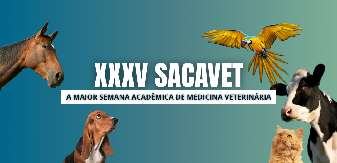 imagem de fundo da página