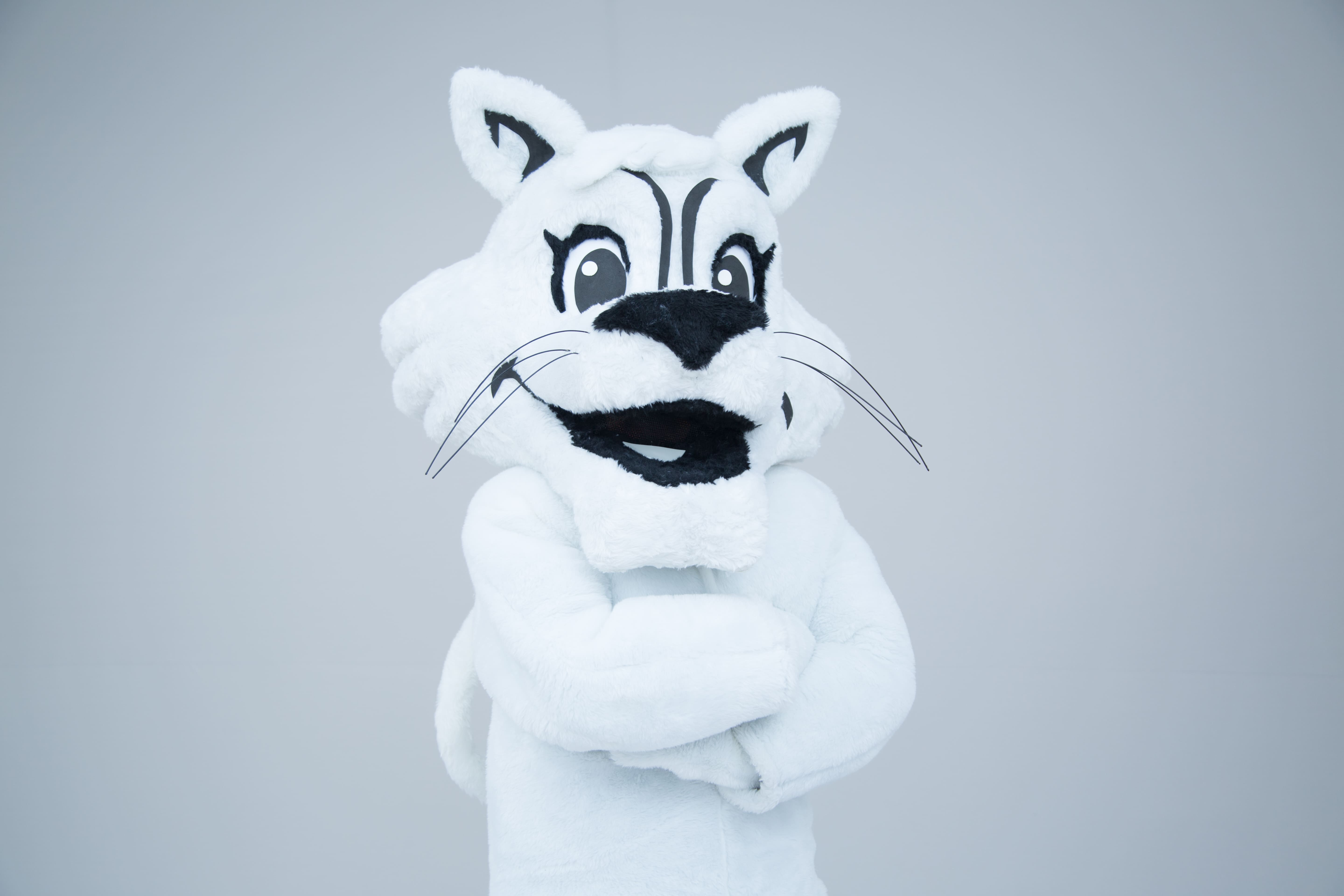 Image for the event: Festa de 100 dias - MEDVET UNICESUMAR